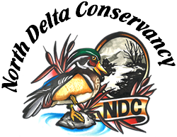 North Delta Conservancy